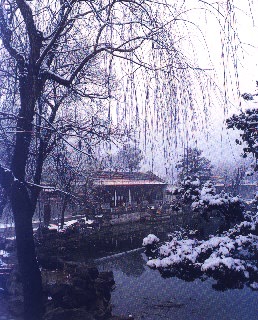 SM_Tsinghua.jpg