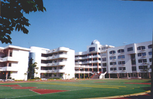tsef_Sports_Field.jpg